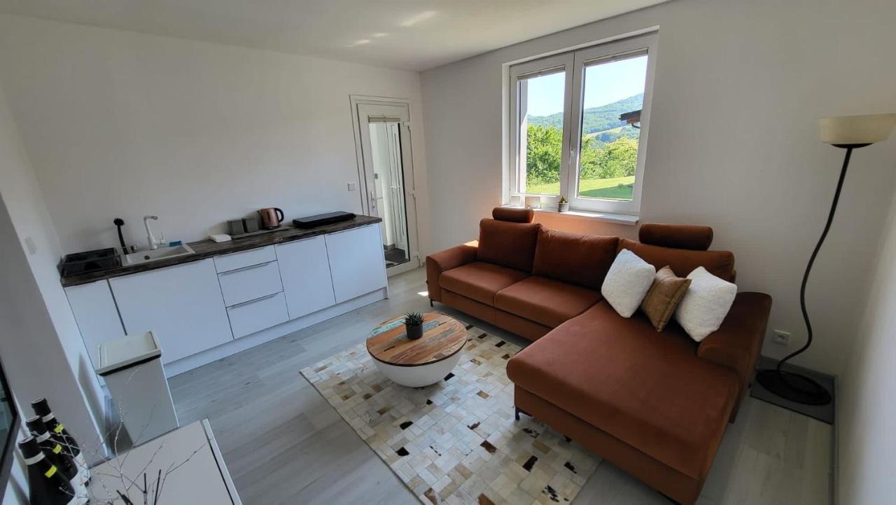 Apartman S Bazenem A Saunou Кадань Екстер'єр фото